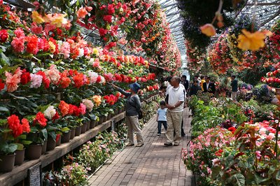 🌸 후지 화조원(후지카초엔)